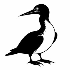 Obraz premium Gannet bird animal Silhouette Vector illustration svg