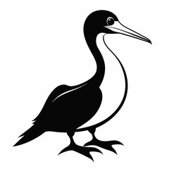 Gannet bird animal Silhouette Vector illustration svg