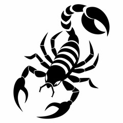 Vector coloring Scorpion for adults illustration. 