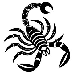 Vector coloring Scorpion for adults illustration. 