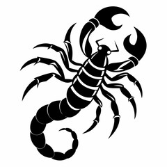 Vector coloring Scorpion for adults illustration. 