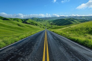 Fototapeta premium The asphalt road leading to the distance on the grassland