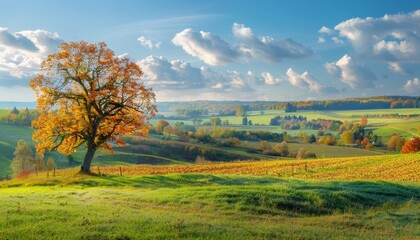 Obraz premium Enchanting autumn landscape sunny rural panorama in high quality captured on a bright day