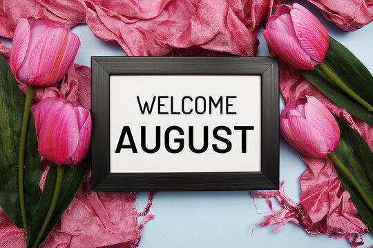 Welcome August text message with pink tulip flower on blue background