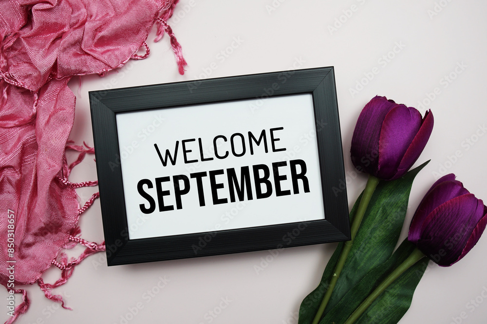 Wall mural Welcome September text message with pink tulip flower on pink background