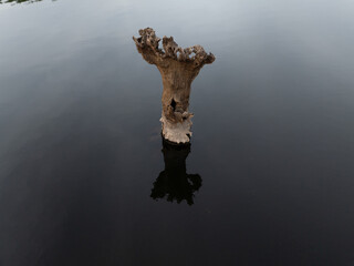 Encoro en Galicia y la naturaleza que hay en el