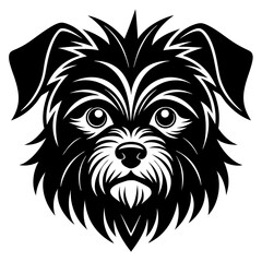 black and white puppy