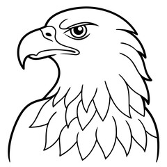 eagle head vector illustration