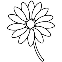 flower isolated on white