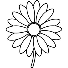 flower isolated on white