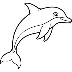 dolphin isolated on white