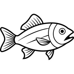 fish isolated on white