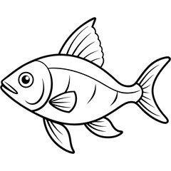 fish isolated on white