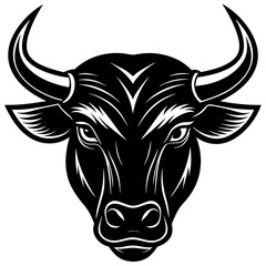 black and white cow hade