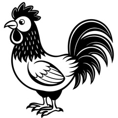 rooster isolated on white