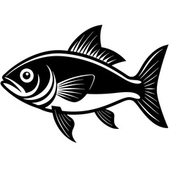 fish on white background