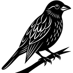 illustration of a bird