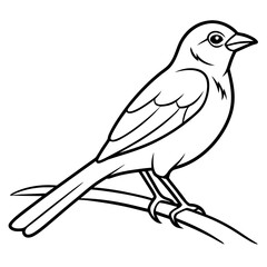 illustration of a bird