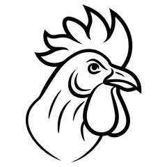 rooster isolated on white background