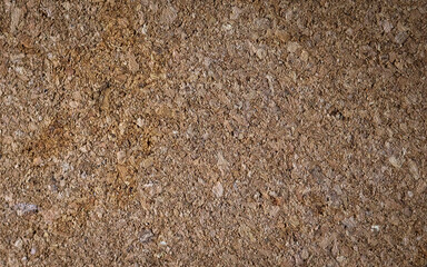 Wooden surface. Cork wood. Wood. Macro. Close-up. Top view. 