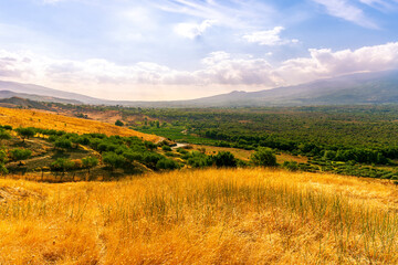 Obraz premium panoramic farmland view of yellow field with sceniv valley , mountains and amazing cloudt sunset