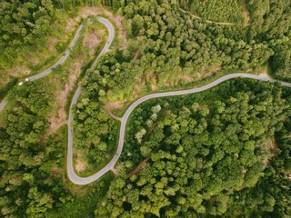Aerial view of a winding road through a lush green forest