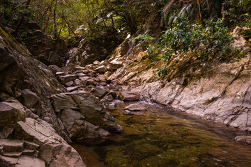 Trek on the way to waterfall in Okinawan jungle
