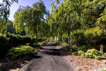 path in the park