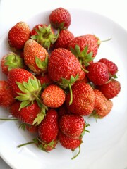 strawberries in a bowl