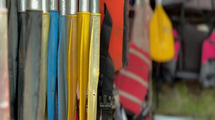 Rows of boat paddle hanging in the boat shop. Boat oars.