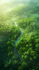 Obraz premium Aerial View of a Winding River Through a Lush Green Forest at Sunrise