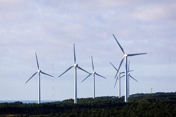 Silhouettes of wind turbines, wind power plants in Portugal, Europe. Ecological, saving energy