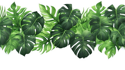 leaves monstera