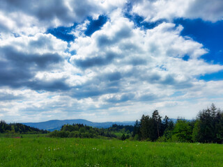 field and blue sky