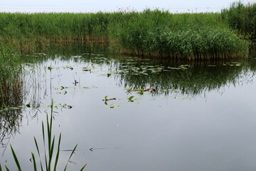 Lake Naroch is the largest lake in Belaru