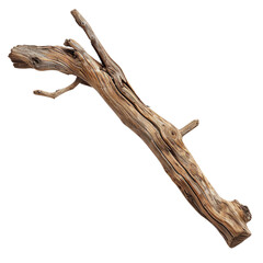 Fototapeta premium driftwood isolated on white background