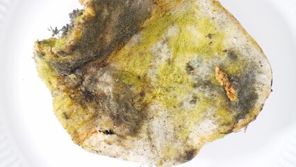 A sinister tableau unfolds on the bread's surface: patches of emerald green intertwine with sickly...