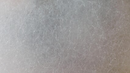 Mold and fungus creep across bread's surface, delicate white threads weaving a sinister tapestry of decay. Air and moisture conspire to birth this spoiling spectacle. Fungal background.
