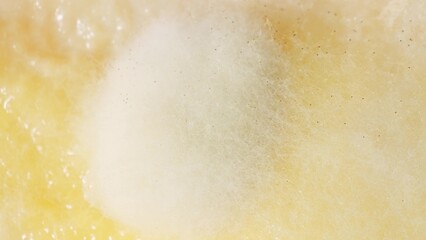 Moldy bread close-up reveals white, thread-like hyphae spreading across the surface, a telltale sign of spoilage caused by exposure to air and moisture. Fungus background.
