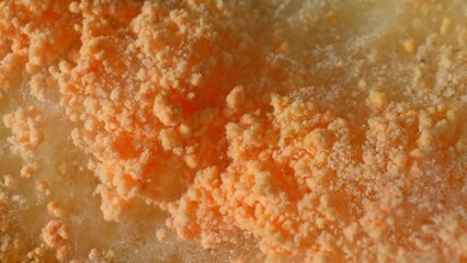 Intense close-up reveals a labyrinth of mold and fungus on bread, a vibrant mosaic of orange and yellow hues hinting at the diverse microbial ecosystem thriving within. Mold background.
