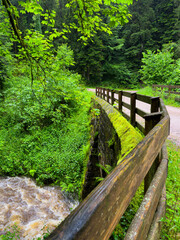wooden bridge in the woods