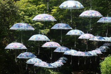 柳谷観音の傘のディスプレイ