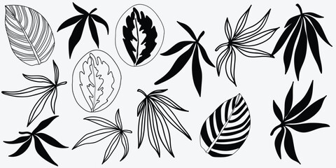 Illustration of the flowers on a white background. Vector illustration.