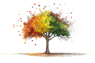 A tree with leaves that change color with the seasons, creating a sense of transformation and renewal.