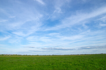 Landscape of green meadow