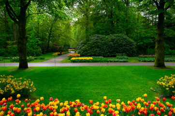 Obraz premium Spring flower park with green grass, trees and blooming flowers