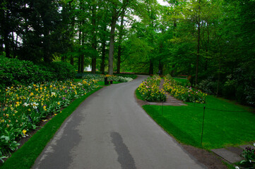 Garden stone path in a botanical garden