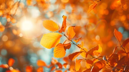 A leafy tree with a bright orange leaf in the foreground