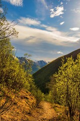 Fototapeta premium lake and mountain