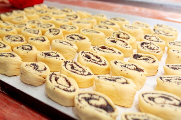 Bakery industry, confectionery factory, poppy seed buns, cookies, bagels or donuts do a lot in the bakery dessert factory.